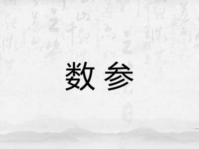 数参 数参