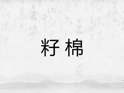籽棉 籽棉