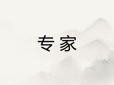 专家 专家