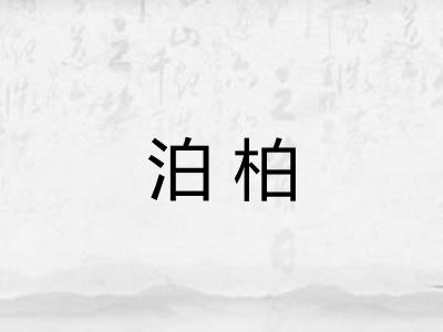 泊柏 泊柏