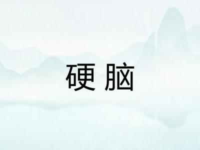 硬脑 硬脑