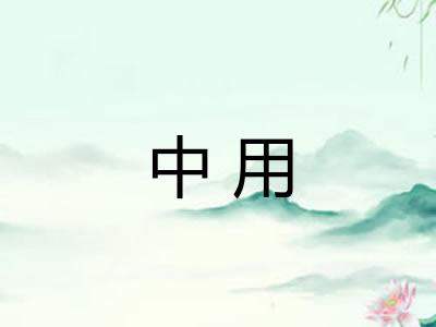 中用