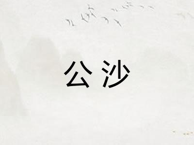 公沙