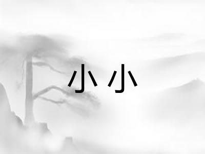 小小 小小