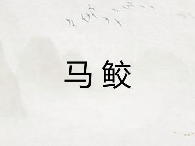 马鲛 马鲛