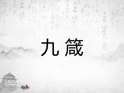 九箴
