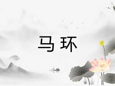 马环 马环