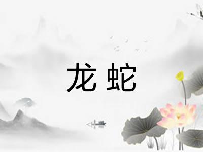 龙蛇 龙蛇