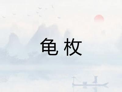 龟枚 龟枚
