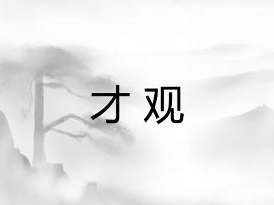 才观 才观