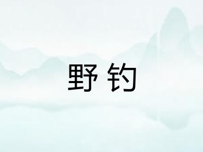 野钓 野钓