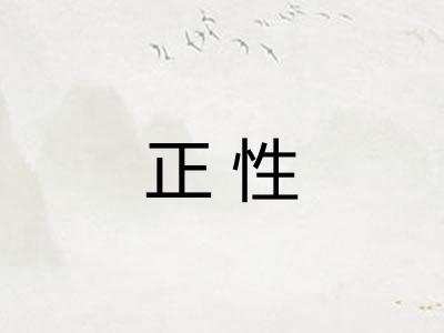 正性 正性