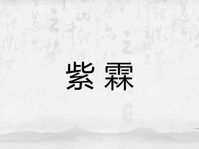 紫霖 紫霖
