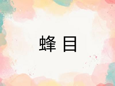 蜂目 蜂目