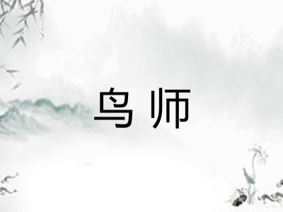 鸟师 鸟师