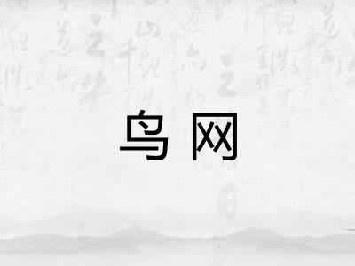 鸟网 鸟网