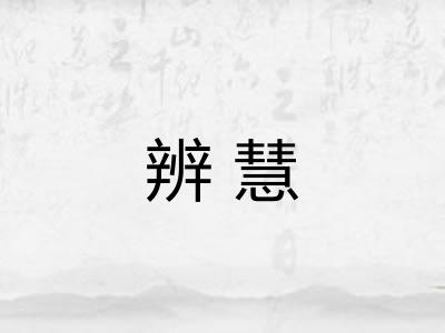 辨慧 辨慧