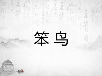 笨鸟 笨鸟