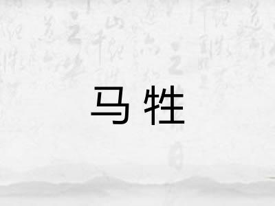 马牲 马牲