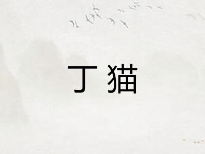 丁猫 丁猫