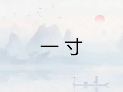 一寸 一寸