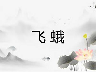 飞蛾 飞蛾