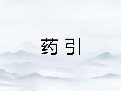 药引
