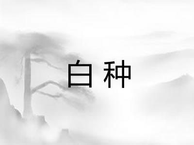 白种 白种