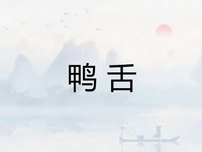 鸭舌 鸭舌