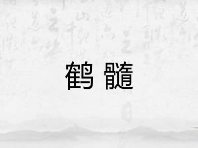鹤髓 鹤髓