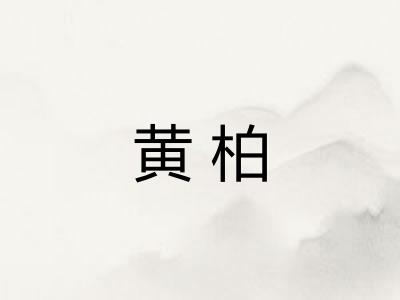 黄柏 黄柏