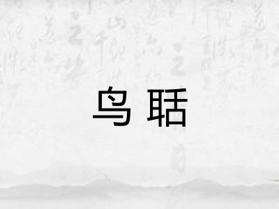 鸟聒 鸟聒