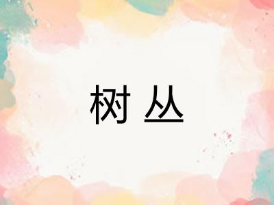 树丛 树丛