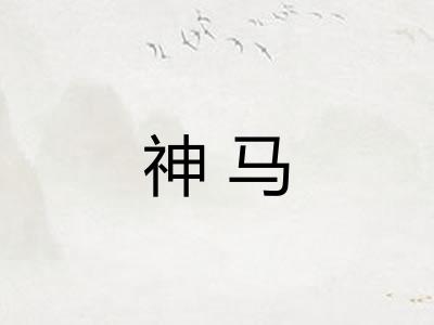 神马 神马