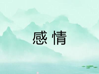 感情 感情