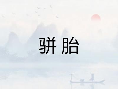 骈胎 骈胎
