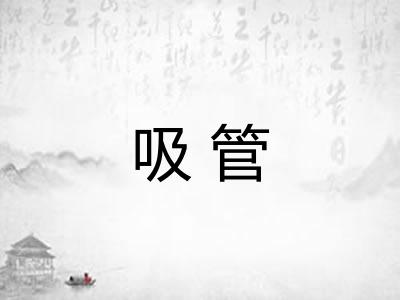 吸管 吸管
