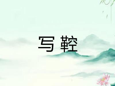 写鞚