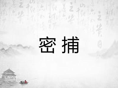 密捕 密捕