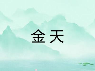 金天 金天