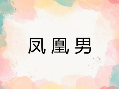 凤凰男