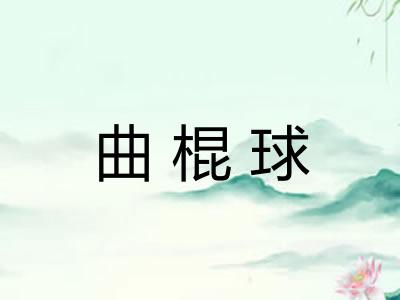 曲棍球 曲棍球