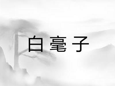 白毫子