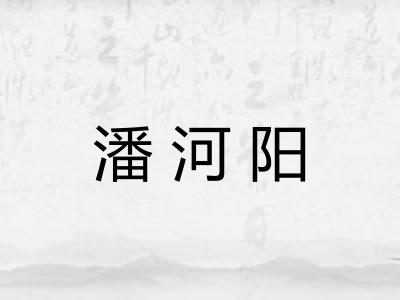 潘河阳 潘河阳