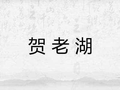 贺老湖 贺老湖