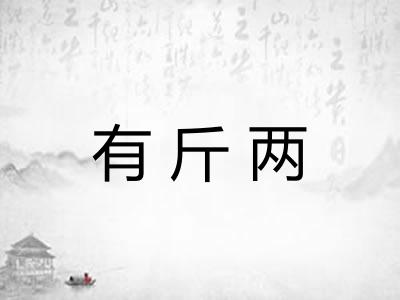 有斤两 有斤两