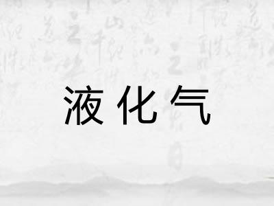 液化气 液化气