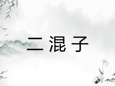 二混子 二混子
