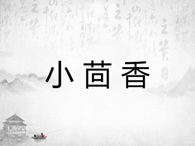 小茴香