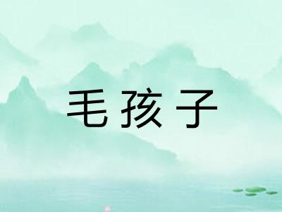 毛孩子